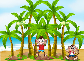 Monkeys at the beach with coconut trees