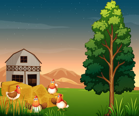 Obraz na płótnie Canvas A group of chickens near the hays at the farm