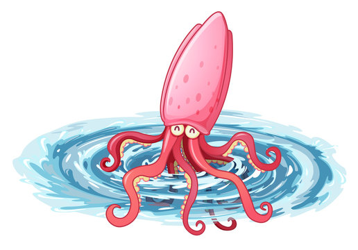 An octopus under the sea