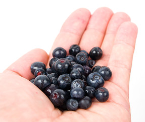 Blueberries in hand isolated on white background