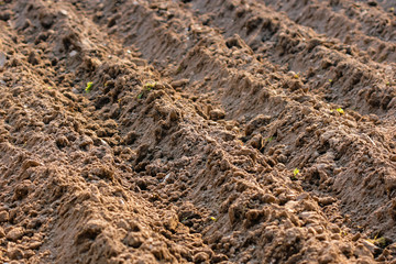 He freshly tilled fields of the farmers