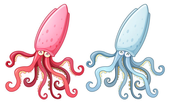 A pink and blue octopus