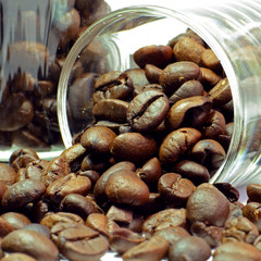 Premium grade coffee beans.