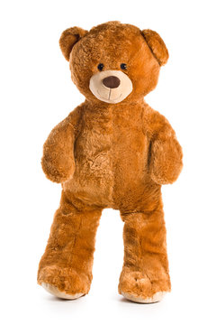 Naklejka teddy bear