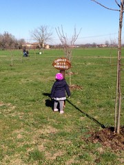 il giardino delle mandorle