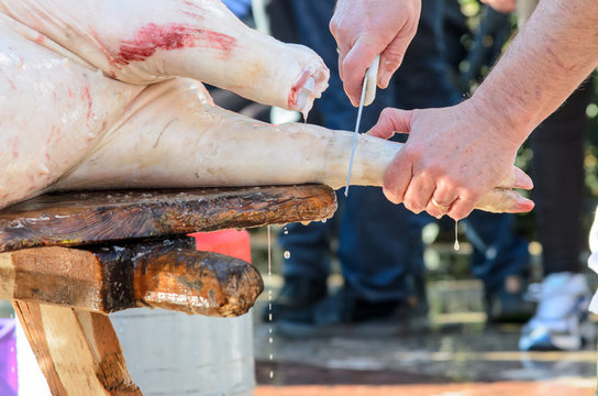 matanza de cerdo