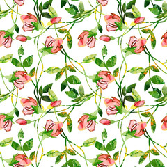 Roses seamless pattern - 61846695