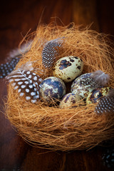 Easter still life with quail eggs