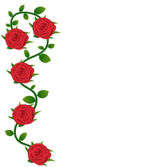 Red roses background for greeting card