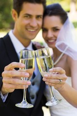 Newlywed toasting champagne flutes at park