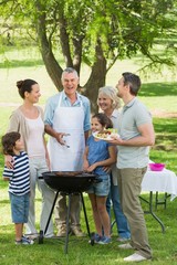 Extended family standing at barbecue in park