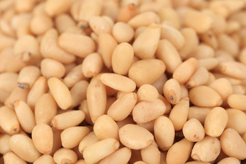 Background texture of shelled pine nuts.