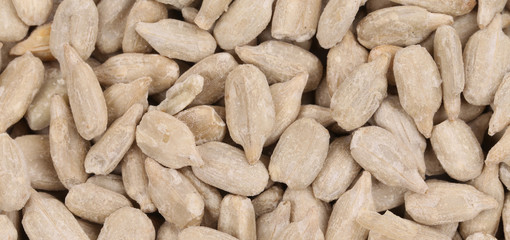 Background of sunflower seeds.