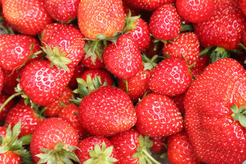 a box of strawberries