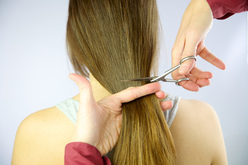 Long hair being cut with scissors
