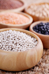 different type of pulses