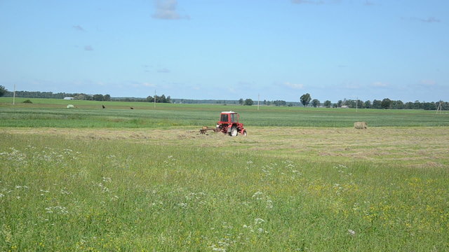 Red tractor ted hay drying grass in agriculture field