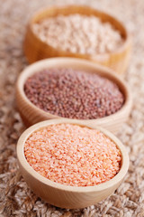 different type of pulses