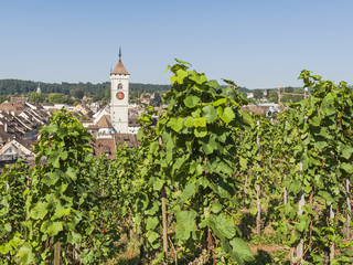 Fototapeta na wymiar Schaffhausen, Stare Miasto, Winnica, Sankt Johann, Szwajcaria
