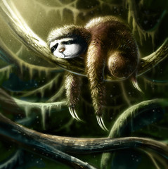 perezoso © cirodelia