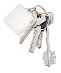 bunch of home keys on ring and keychain