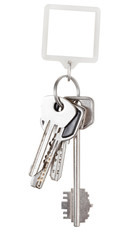 bunch of keys and square keychain