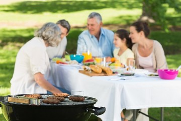Barbecue grill with extended family having lunch in park