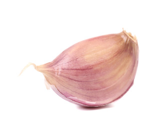 Red garlic clove.