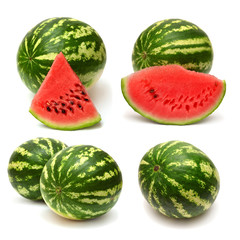 Collection of watermelon