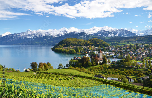 Lake Thun, Spiez, Switzerland бесплатно