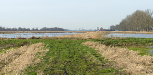 Farm on the shore of a swamp in winter