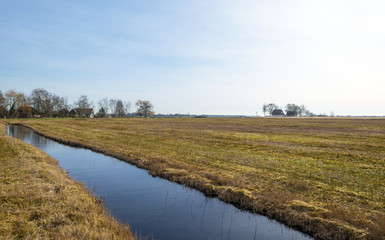 River through wetland in winter