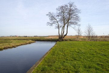 Canal through wetland in winter