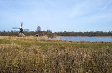 Windmill along a stream through wetland