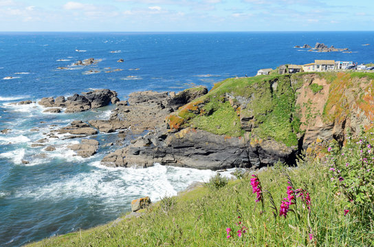 Lizard Point Rocks