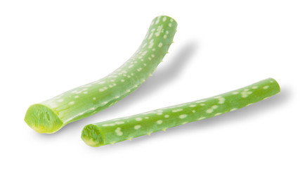 Stalks Of Aloe