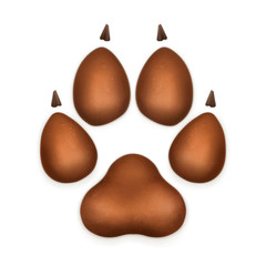 Dog paw, vector