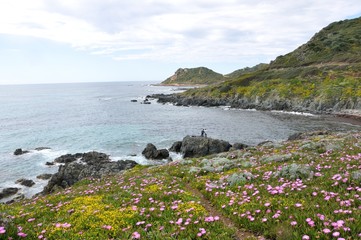 Obraz premium corse du sud