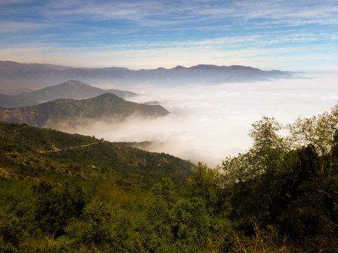 osque de Fray Jorge national park Biosphere reserve