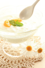 Mandarin orange on yogurt for gourmet dessert 