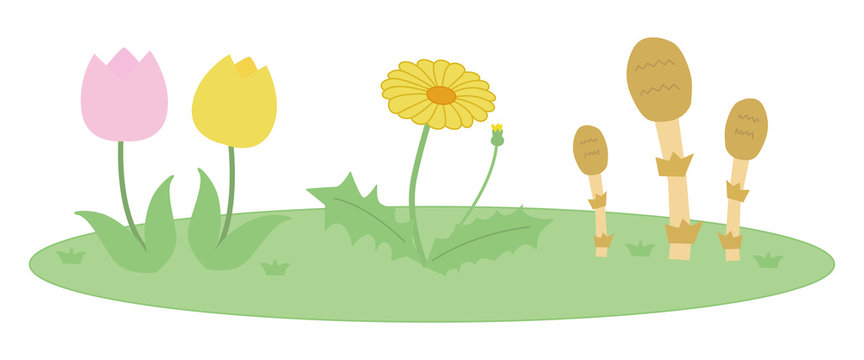 春の花