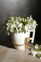 Beautiful snowdrops in cup on grey background