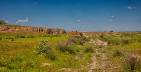 Obraz premium Summer landscape at Vadu