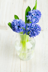 blue hyacinth in a glass vase on wooden surface