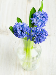 blue hyacinth in a glass vase on wooden surface