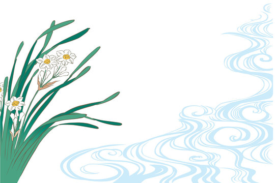 13 Best 水仙花 Images Stock Photos Vectors Adobe Stock