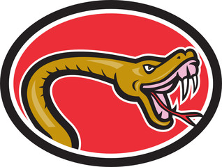 Viper Snake Serpent Head Baring Fangs