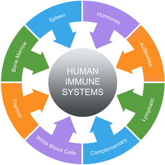 Immune System Word Circles Concept - 61883488