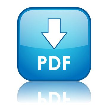 "DOWNLOAD PDF" Web Button (internet search save document format)