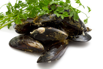mussels isolated